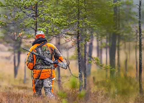 Hunter in woods