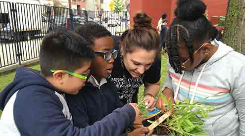 Students examining plants