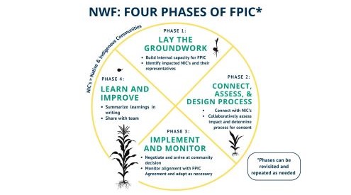 Graphic titled NWF: Four Phases of FPIC; Phase 1: Lay the Groundwork; Phase 2: Connect, Assess & Design Process; Phase 3: Implement and Monitor; Phase 4: Learn and Improve