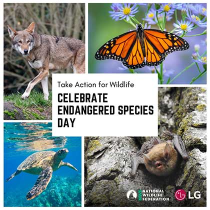 Take Action for Wildlife; Celebrate Endangered Species Day