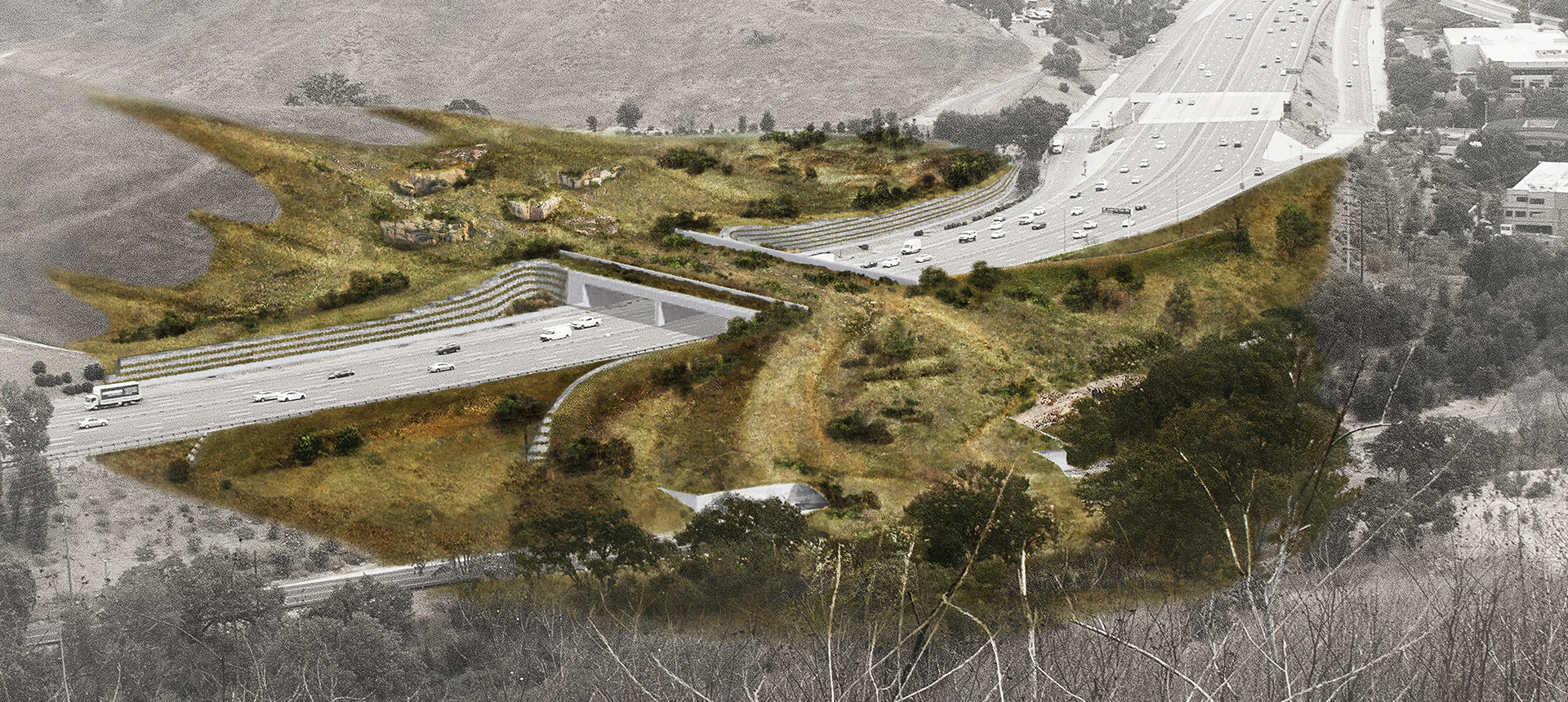 Wallis Annenberg Wildlife Crossing