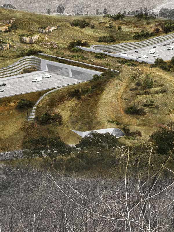 Wallis Annenberg Wildlife Crossing