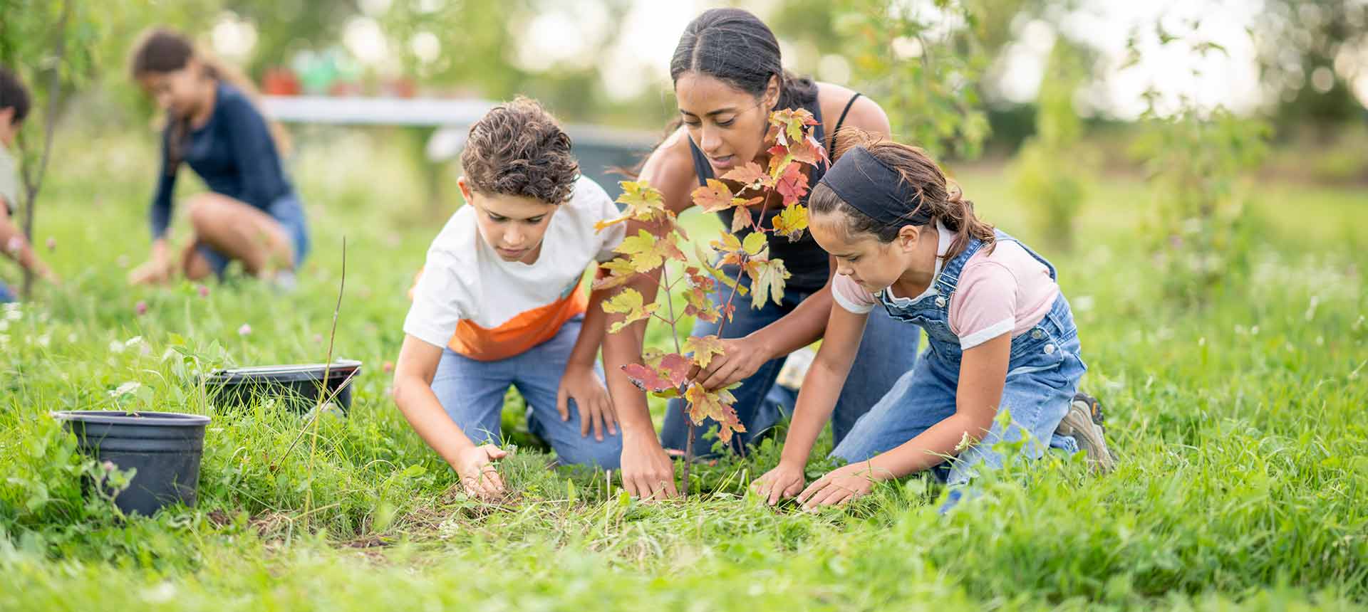 Adult and two children planting tree sapling