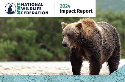 National Wildlife Federation 2024 Impact Report