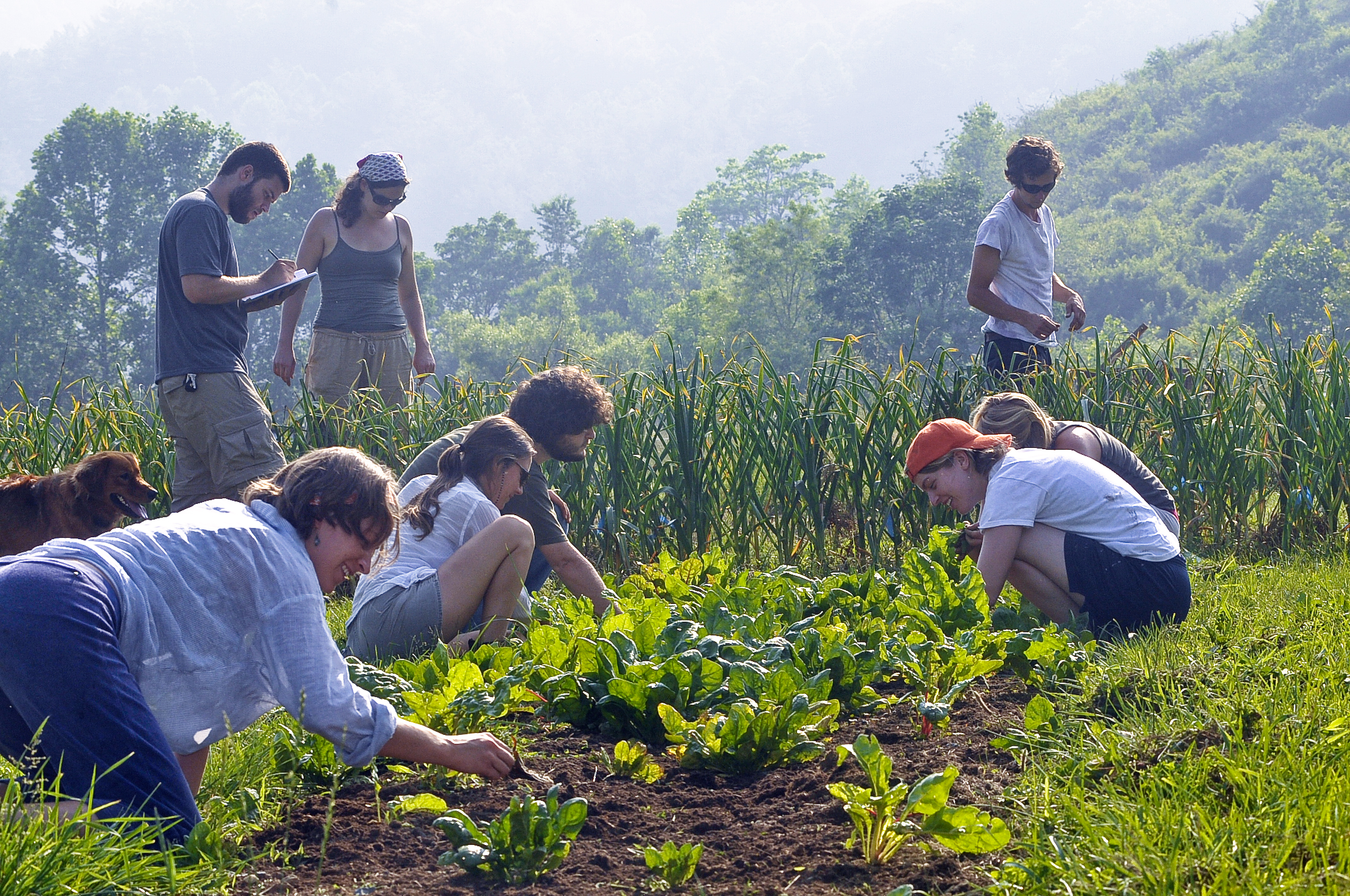 Appalachian State University