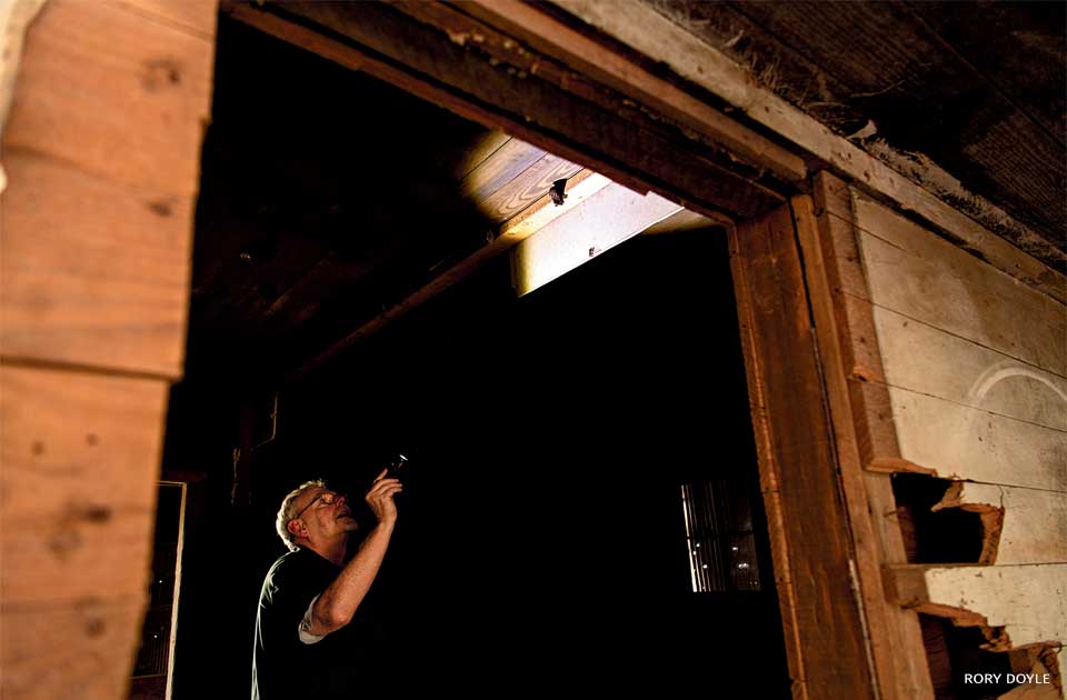 An image of Dr. John Hunt finding a bat in an abandoned property.