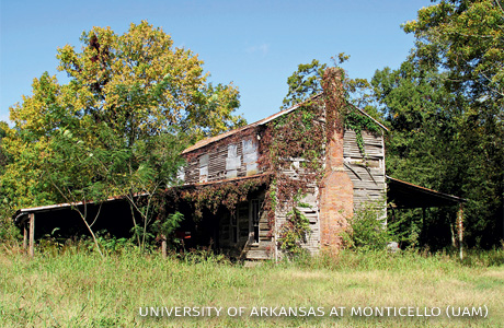 An image of the Taylor House.