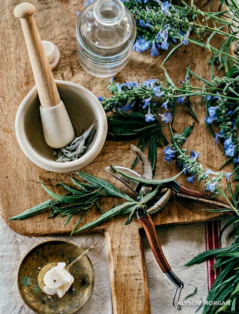 An image of azure sage spread out on a cutting board for a sage honey recipe.