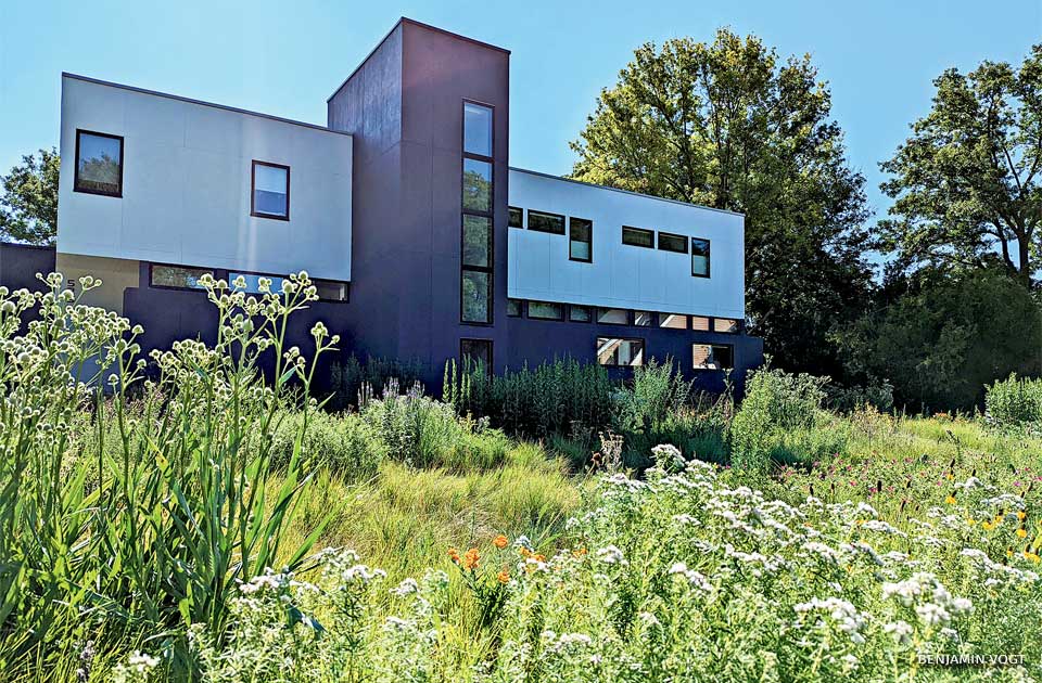 An image of residential landscape renovation two years post planting.