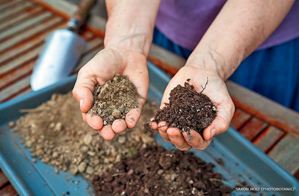 An image of soil before and after amendment with compost.