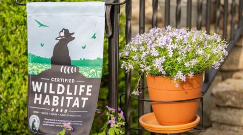 container garden next to a certified wildlife habitat sign