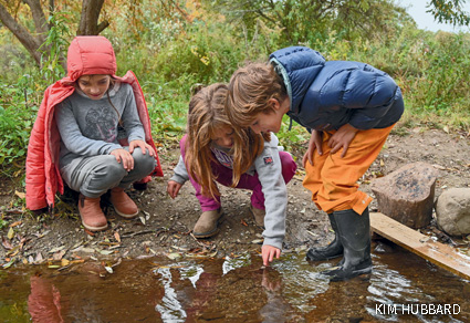 Children observe a baby snapping turtle while taking part in a program at the Flying Deer Nature Center in East Chatham, NY