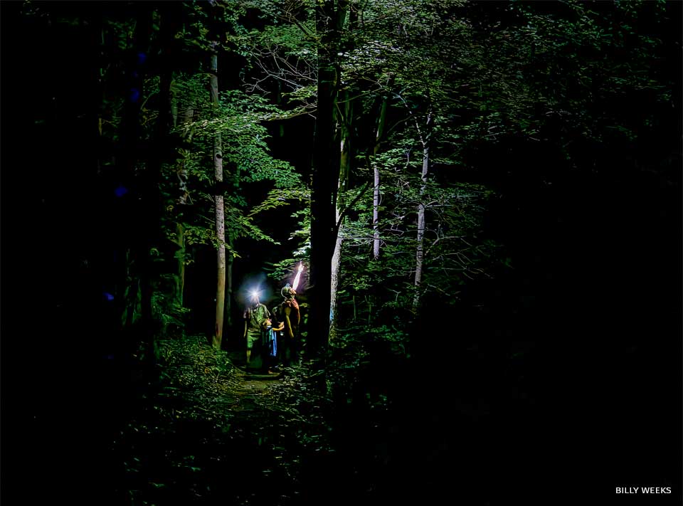 An image of people looking for insects.