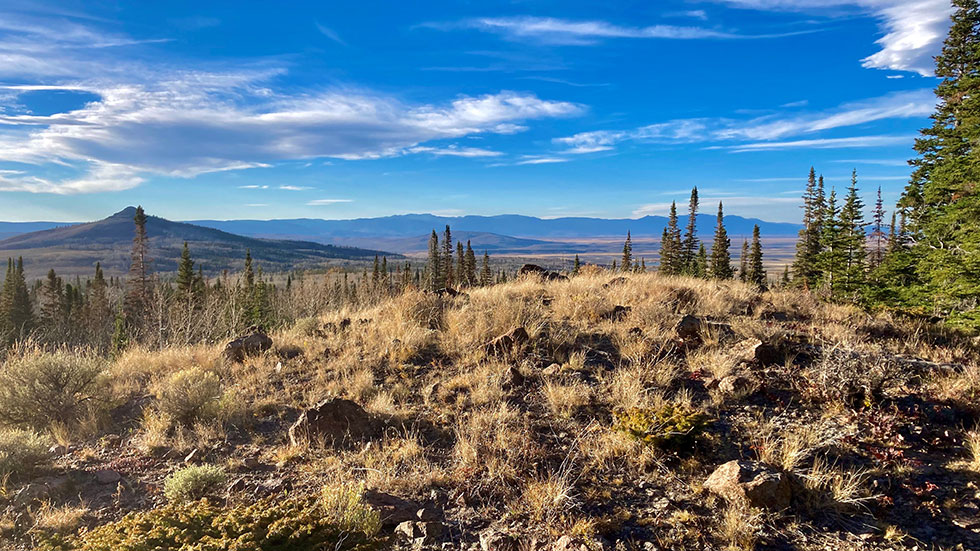 Public lands landscape