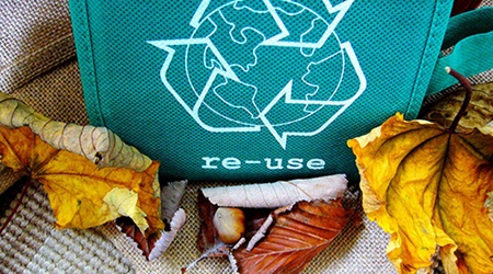 Reuse Bag