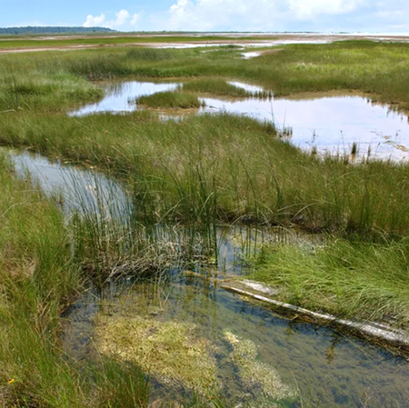 great lakes restoration 