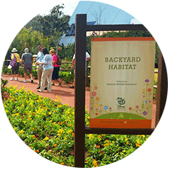 A Backyard Habitat flag hung vertically on a banner pole at the entryway of a garden path.