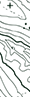 Dark green pattern