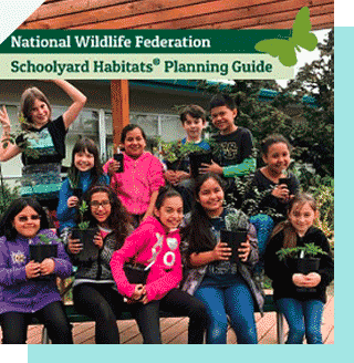 Cover of National Wildlife Federation Schoolyard Habitats® Planning Guide