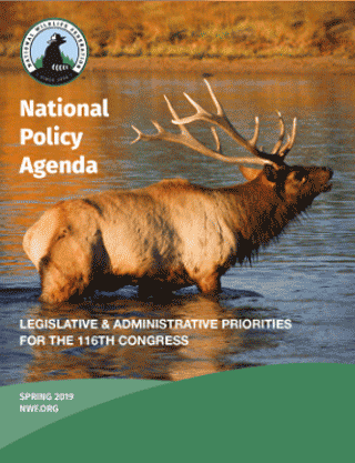 116th Congress National Policy Agenda Cover