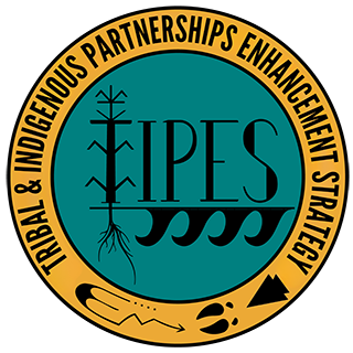 Tribal & Indigenous Partnerships Enhancement Strategy (TIPES) logo