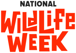 National Wildlife Week