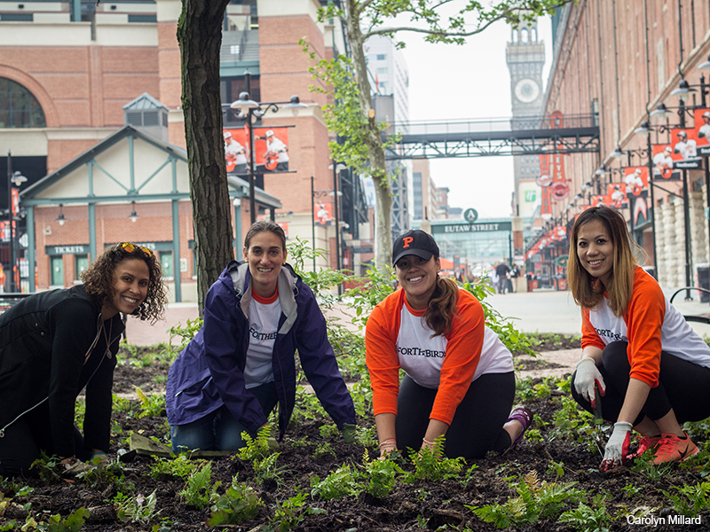 People kneeling and smiling while planting Oriole Garden